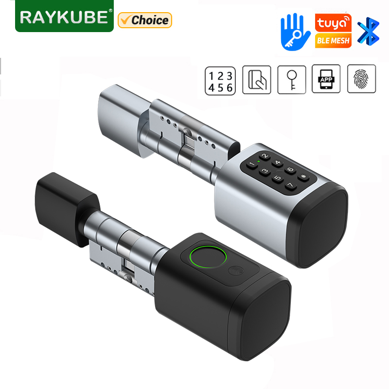 RAYKUBE V1 Tuya BLE TT Lock Sm - Home Automation System Diy review and price