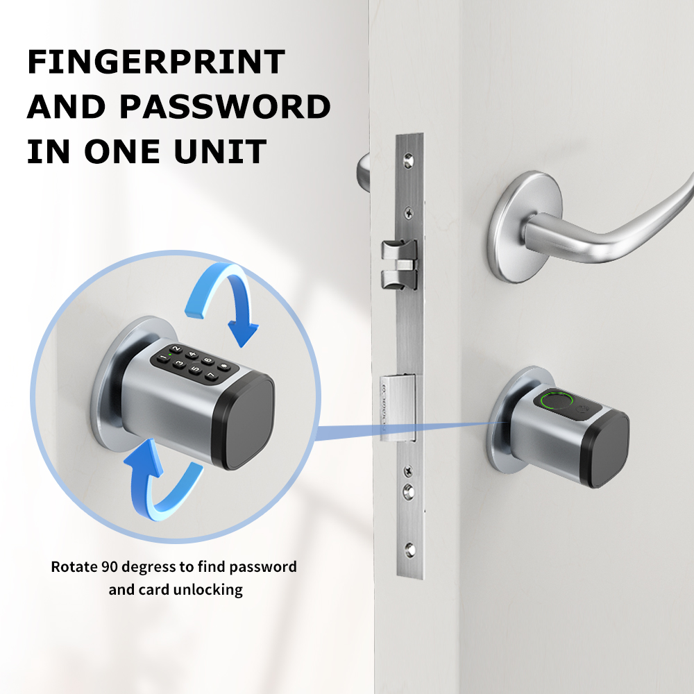 RAYKUBE V1 Tuya BLE TT Lock Sm - Home Automation System Diy review and price