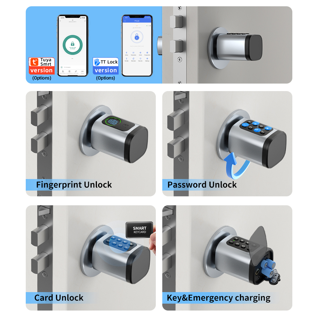 RAYKUBE V1 Tuya BLE TT Lock Sm - Home Automation System Diy review and price