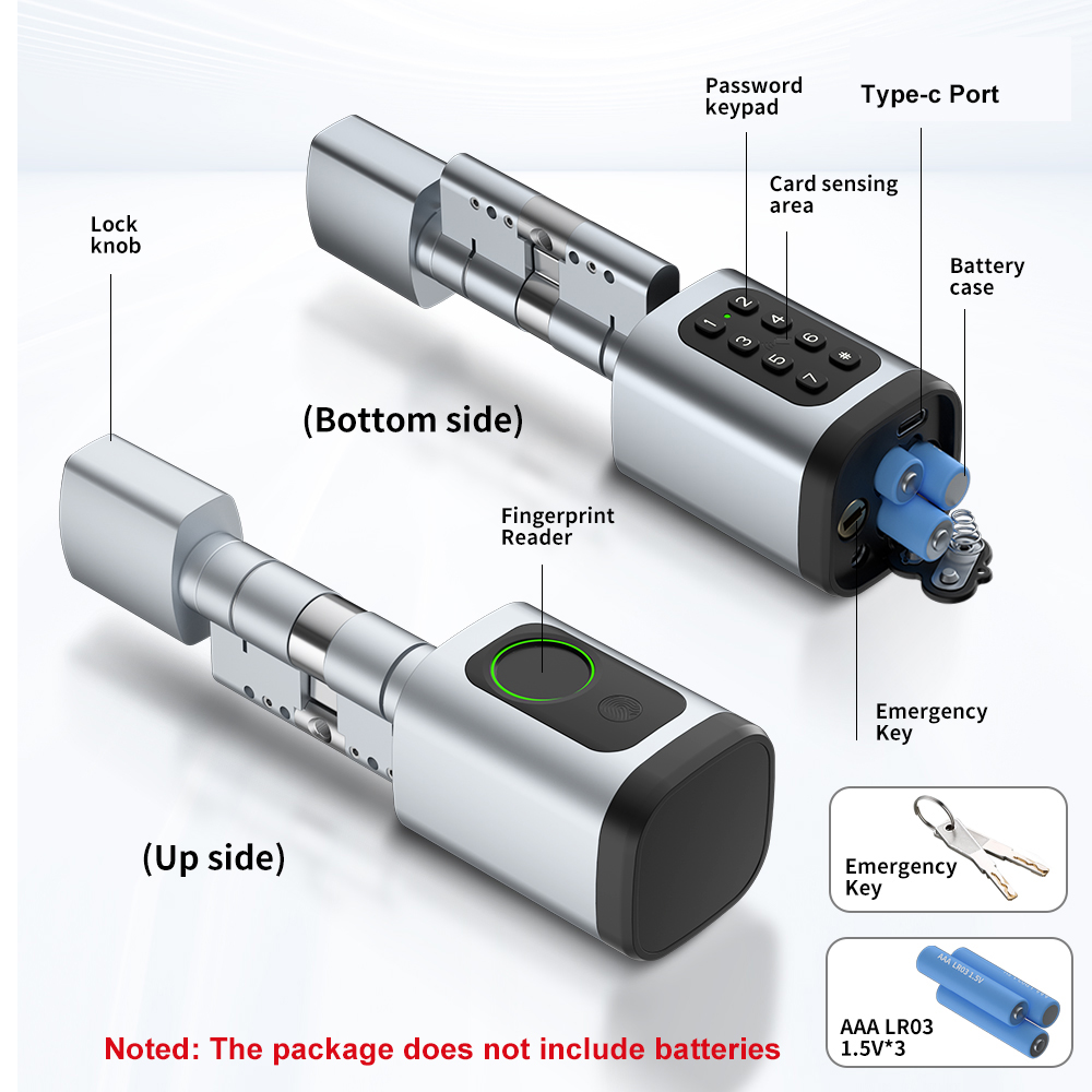 RAYKUBE V1 Tuya BLE TT Lock Sm - Home Automation System Diy review and price