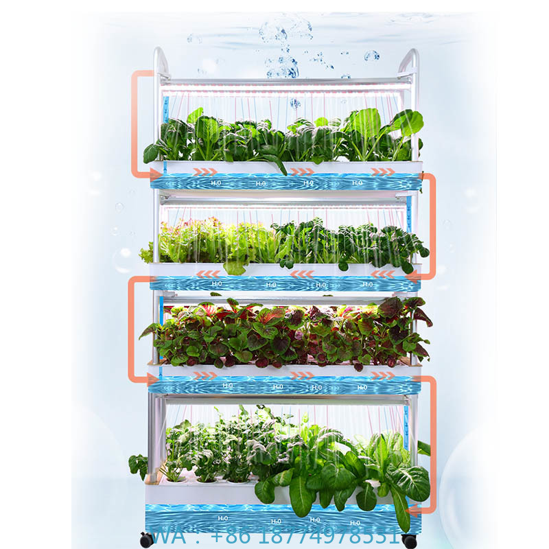 ydroponic Planting System Smar - Smart Home Automation Diy review and price