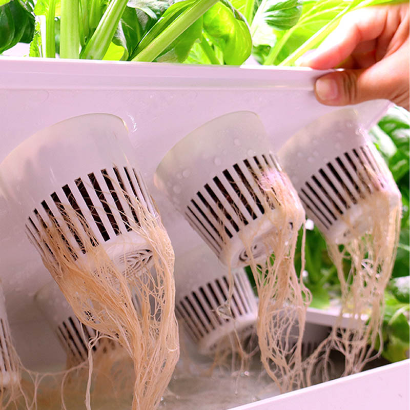 ydroponic Planting System Smar - Smart Home Automation Diy review and price