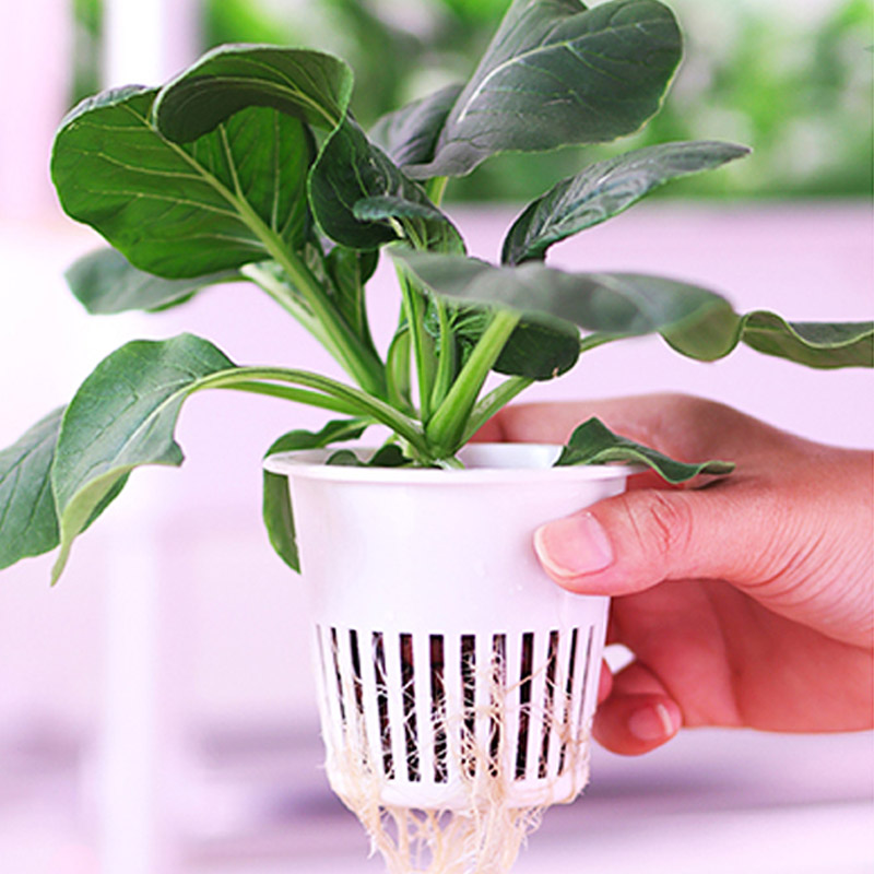 ydroponic Planting System Smar - Smart Home Automation Diy review and price